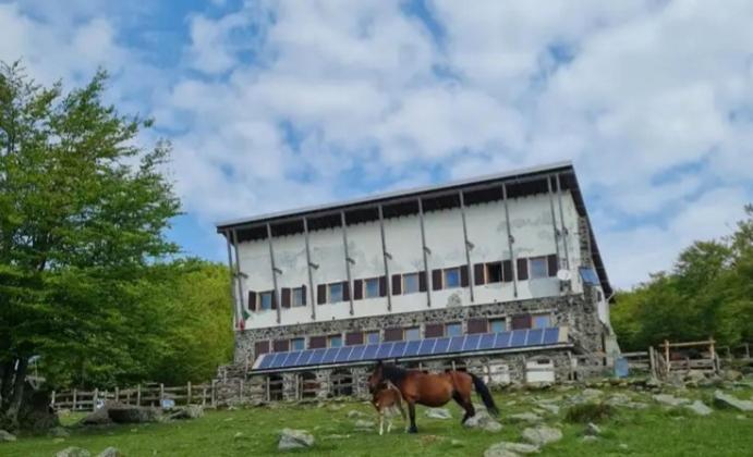 La Casa Di Amelia Villa Borzonasca Exteriör bild